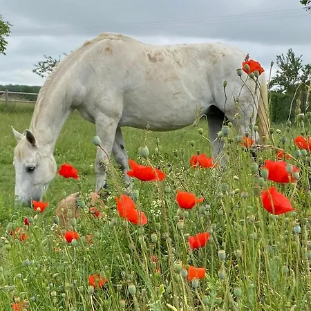 Apartment Domaine Nature *