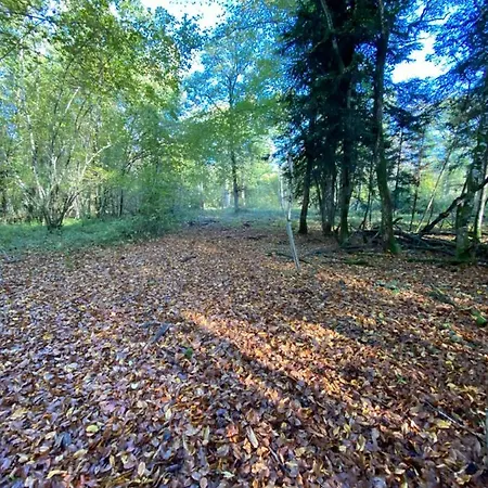 Apartment Domaine Nature Bernécourt
