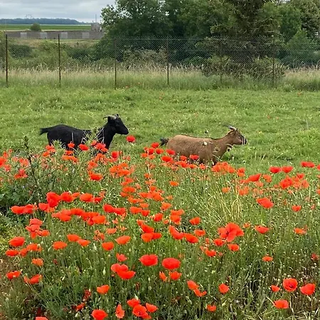 Domaine Nature Bernecourt