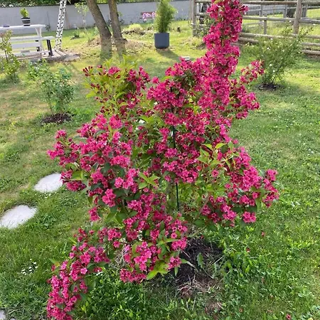 Apartment Domaine Nature Bernecourt