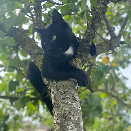 Apartment Domaine Nature Bernecourt