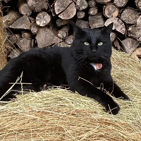 Domaine Nature Bernecourt